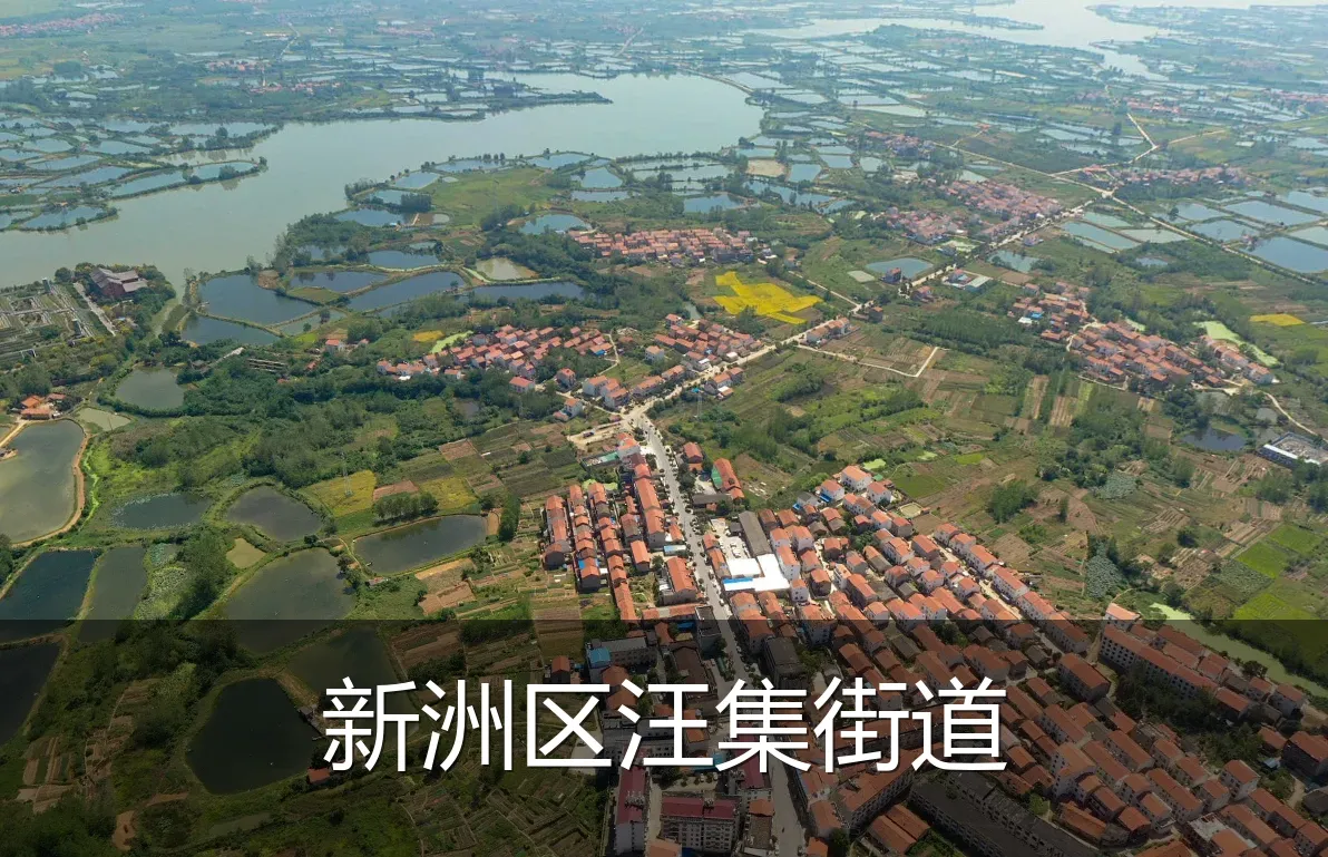 新洲区汪集街道