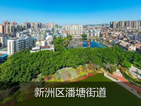 新洲区潘塘街道