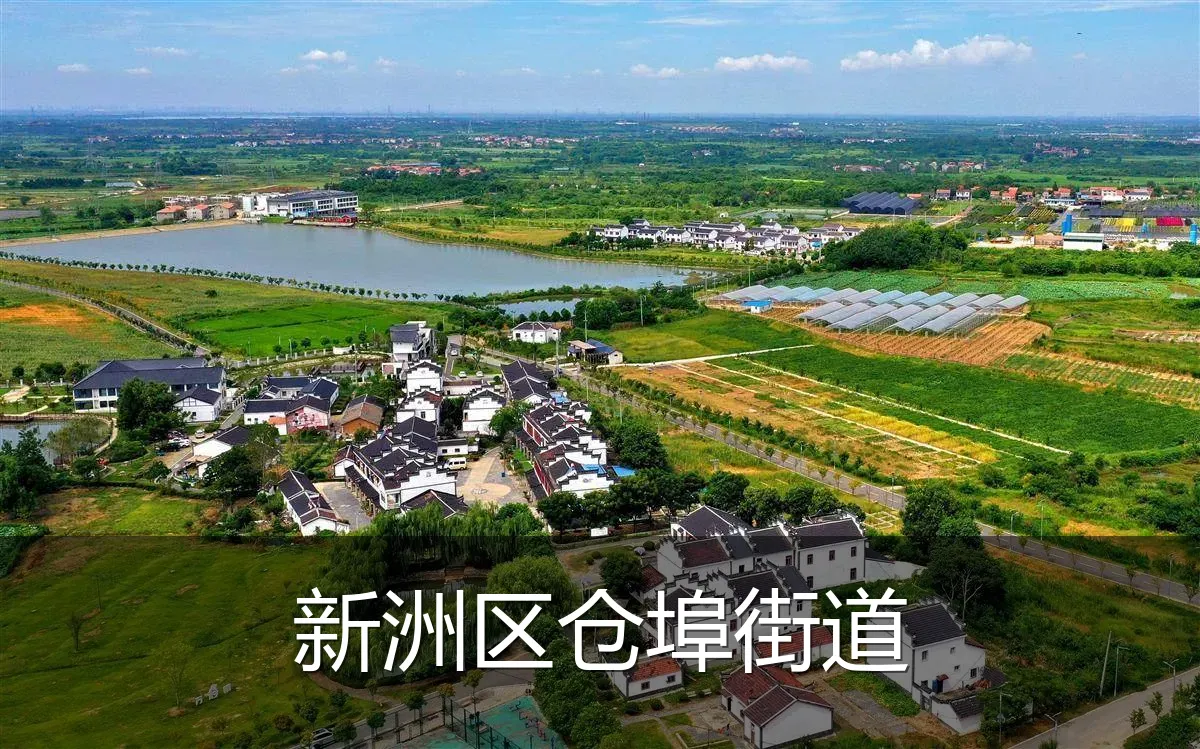 新洲区仓埠街道