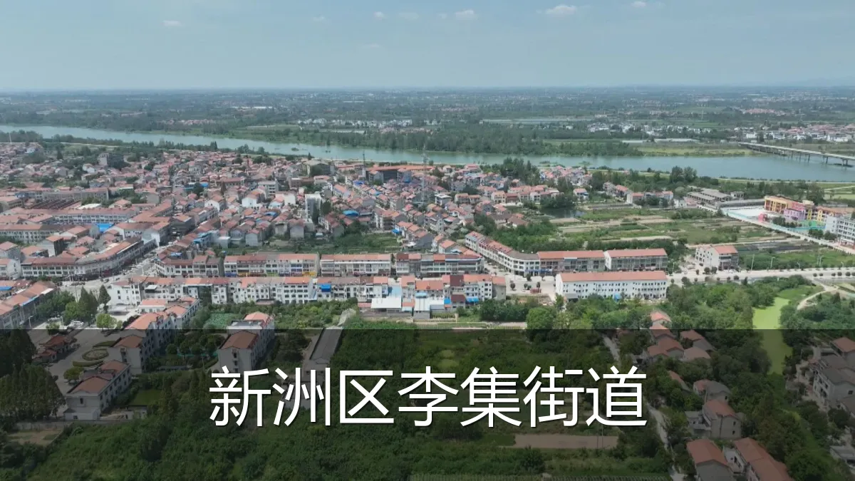 新洲区李集街道